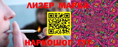 гашик Донской