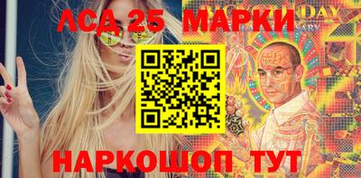 гашик Донской