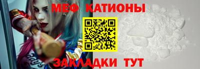 шишки Дубна