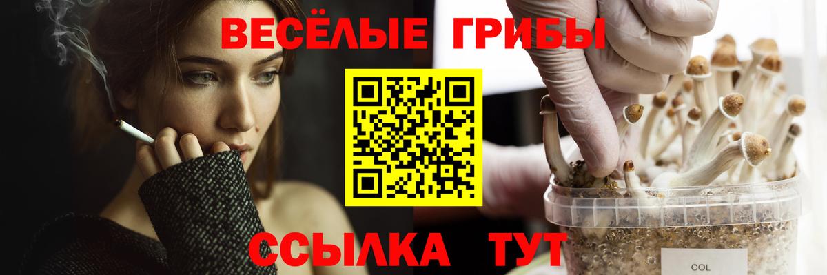 Псилоцибиновые грибы Magic Shrooms Малгобек